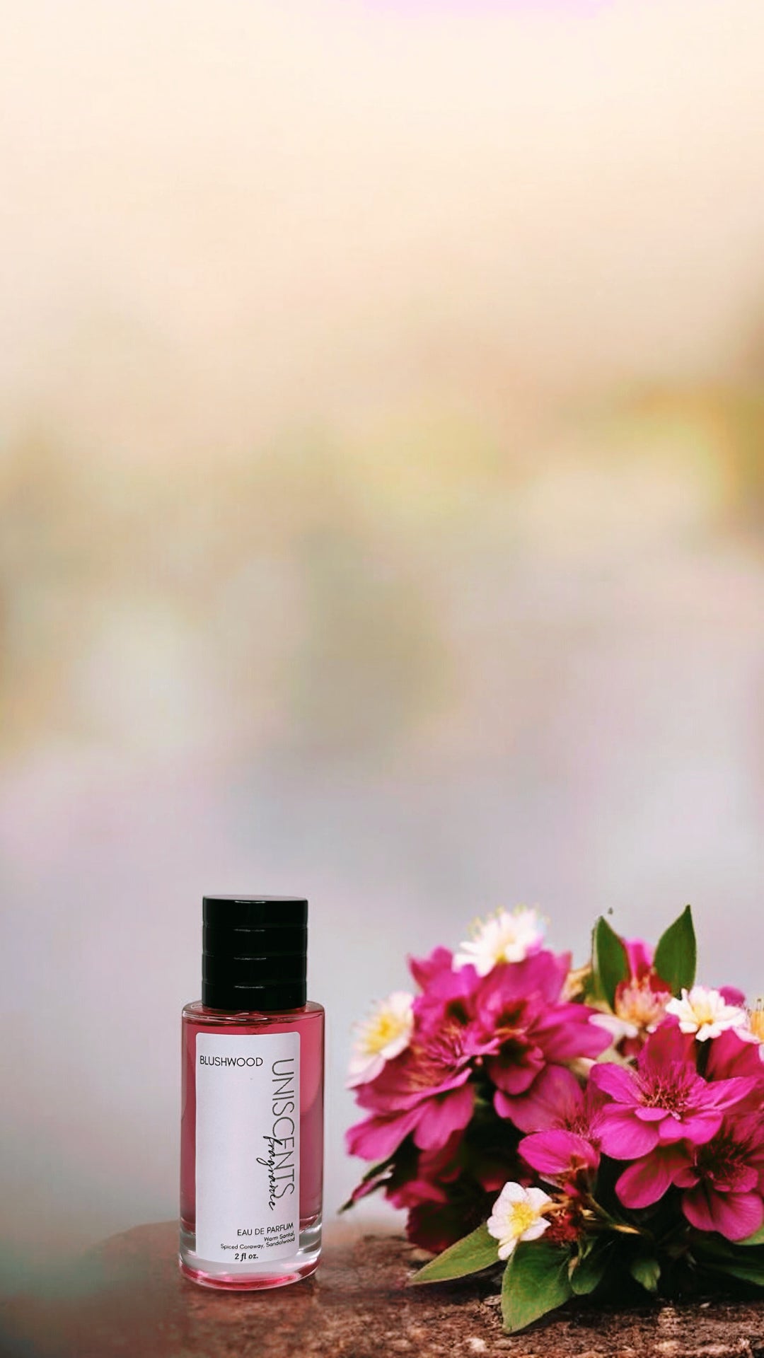 BLUSHWOOD | Limited Release